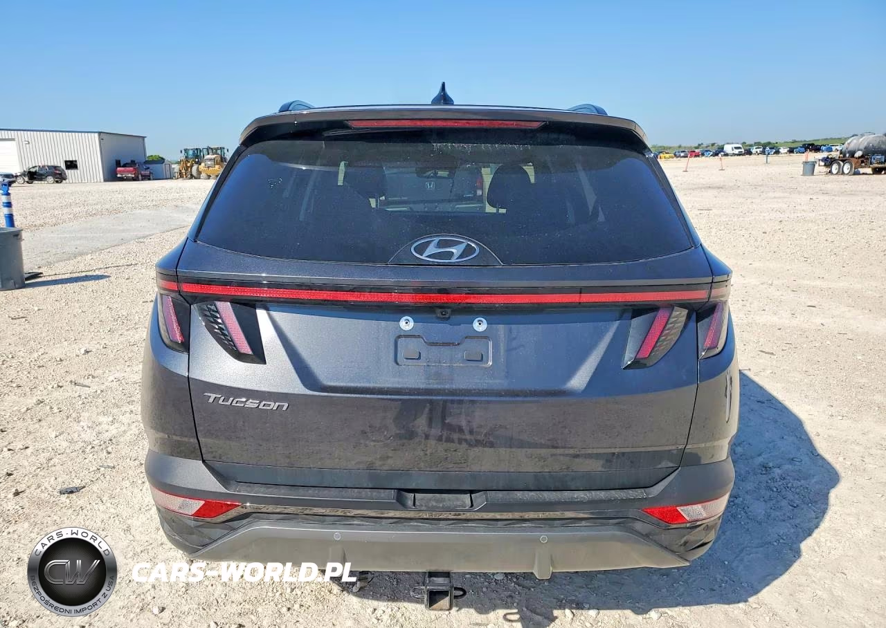 2023 Hyundai Tucson Limited VIN:5NMJE3AE9PH233905 - 6