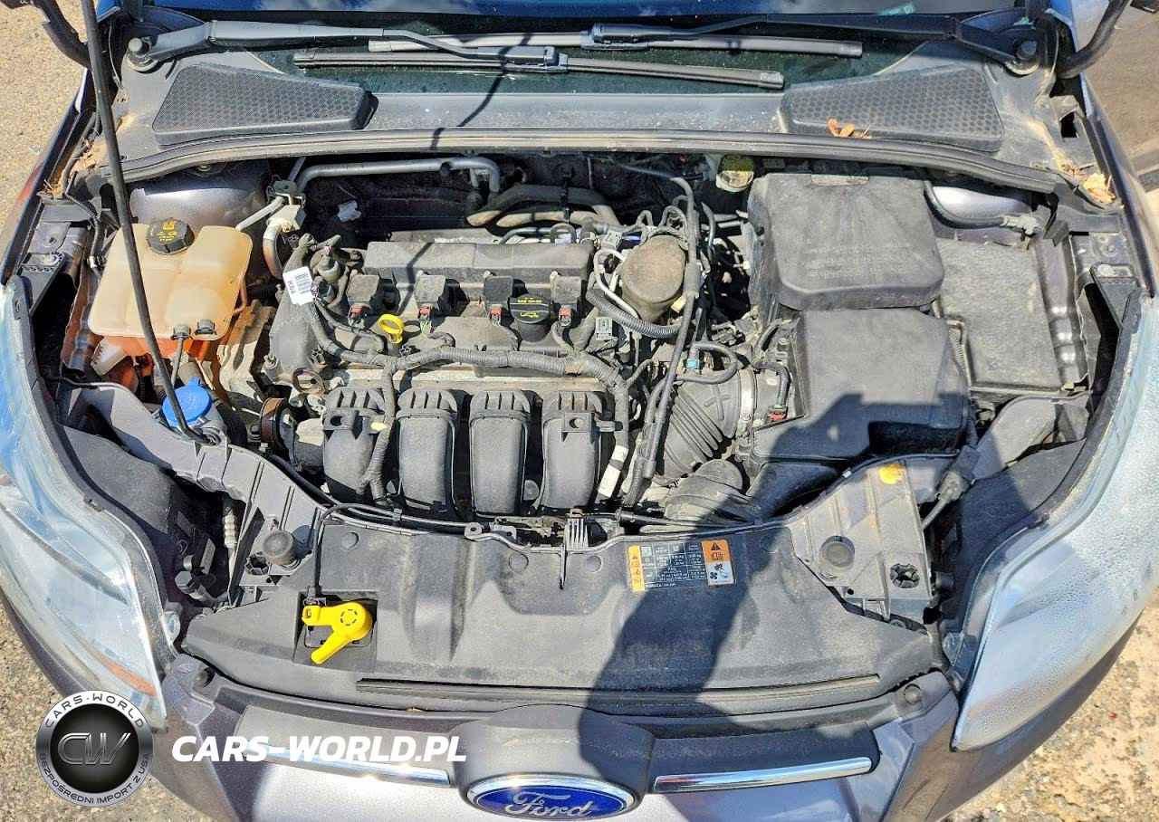 2014 Ford Focus Se VIN:1FADP3F2XEL292601 - 11