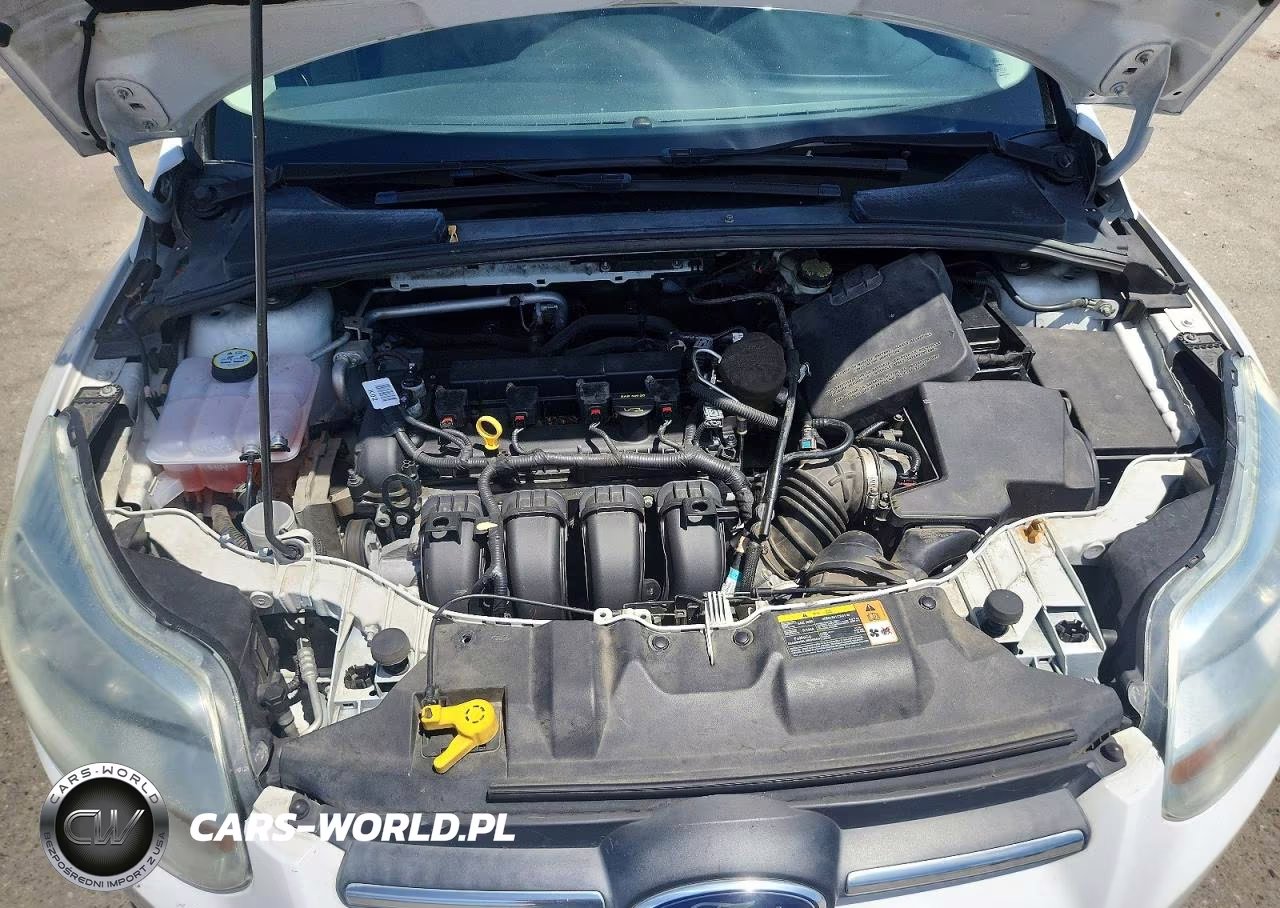 2014 Ford Focus Se VIN:1FADP3K23EL176324 - 11
