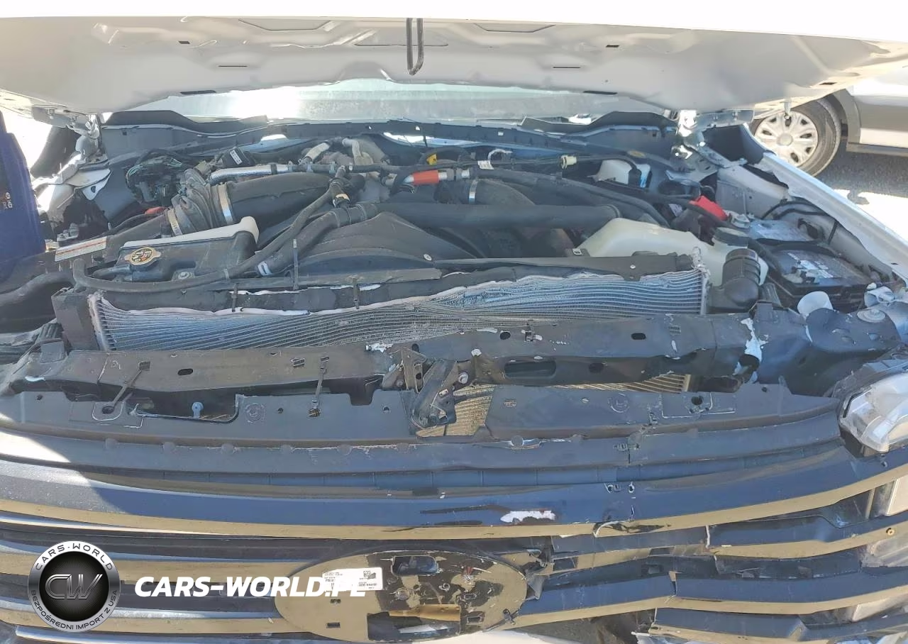 2025 Ford F250 Super Duty VIN:1FT8W2BM1SEC05359 - 11