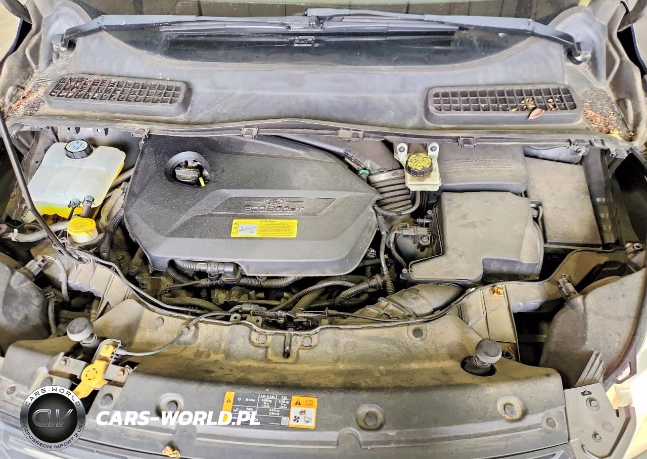 2013 Ford Escape Se VIN:1FMCU0GX2DUD08026 - 12
