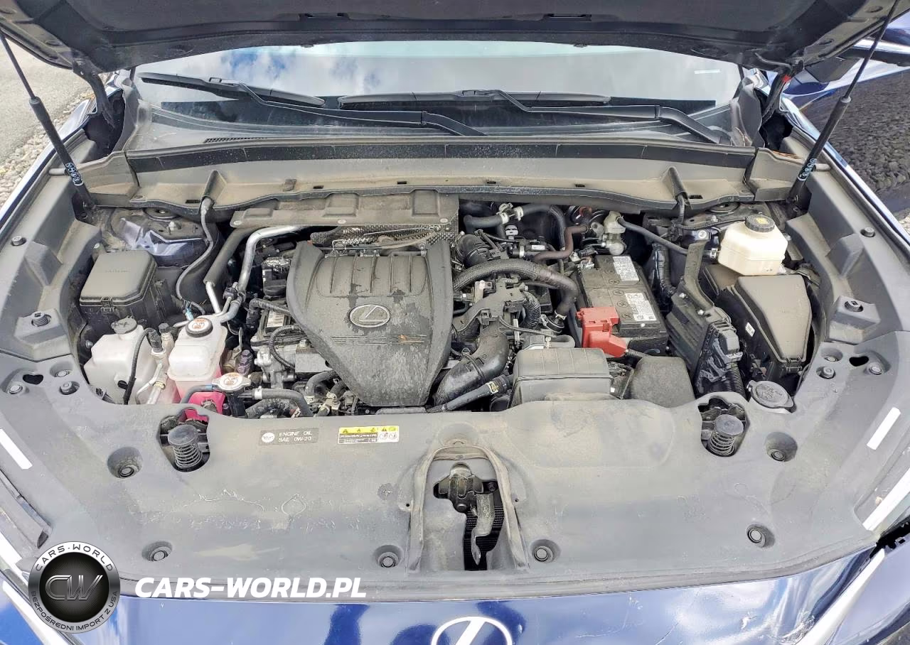 2024 Lexus Tx 350 Premium VIN:5TDAAAB65RS009084 - 12