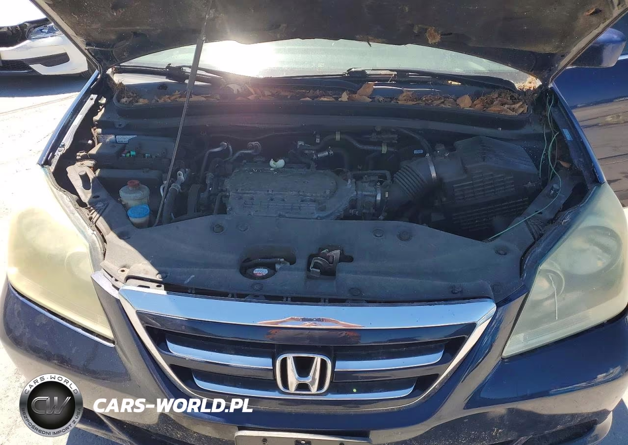 2007 Honda Odyssey Exl VIN:5FNRL38717B050161 - 12