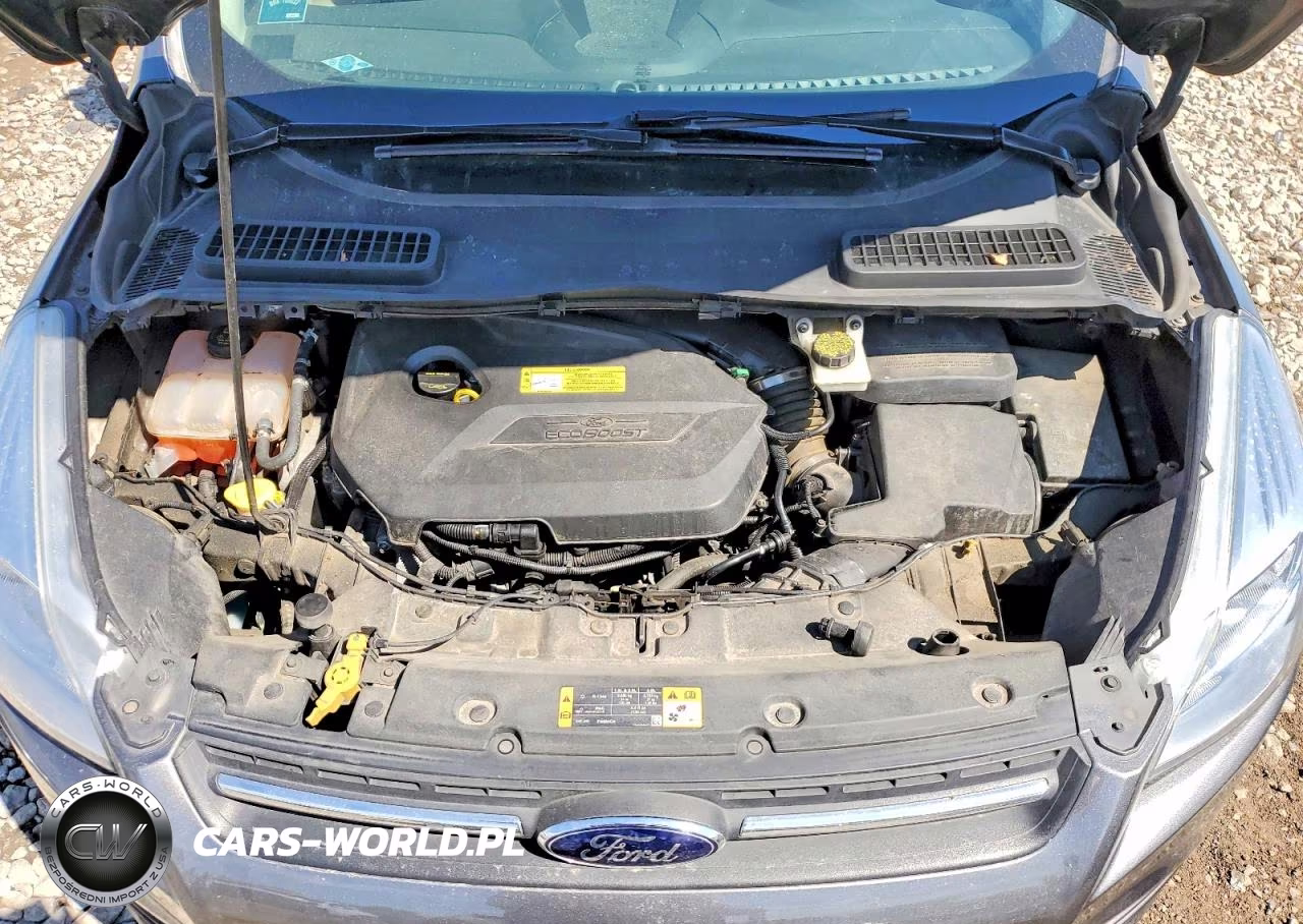 2014 Ford Escape Se VIN:1FMCU0GX2EUC98776 - 12