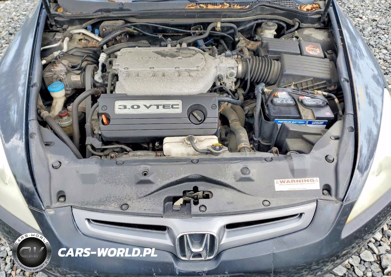 2004 Honda Accord Ex VIN:1HGCM66514A017141 - 11