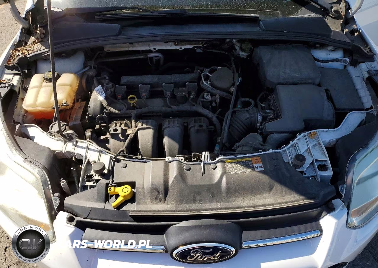 2014 Ford Focus Se VIN:1FADP3F26EL154201 - 11
