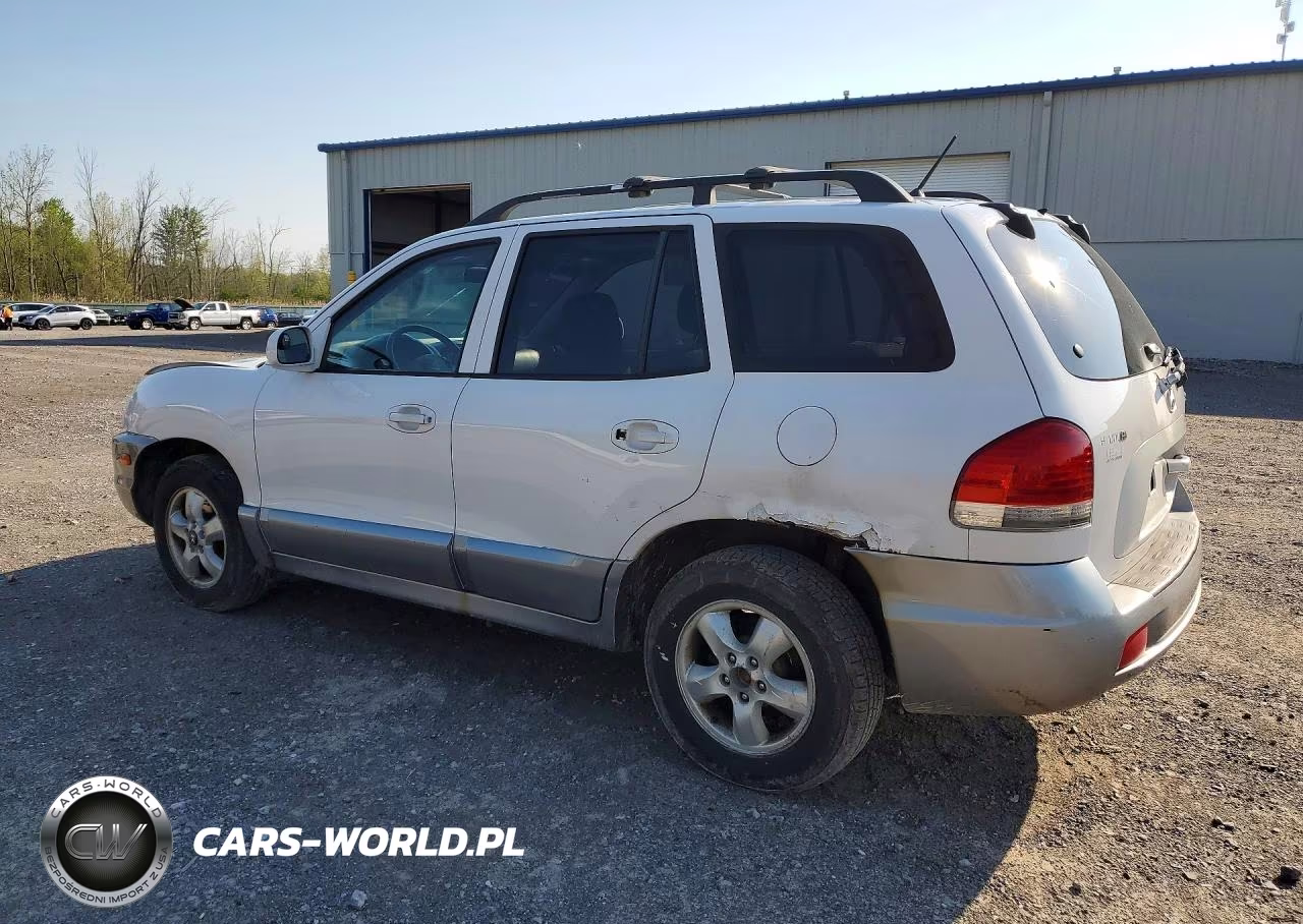 2005 Hyundai Santa Fe Gls VIN:KM8SC13D15U953221 - 2