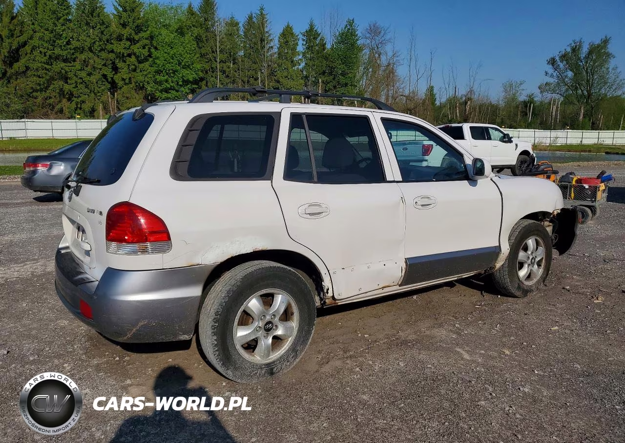 2005 Hyundai Santa Fe Gls VIN:KM8SC13D15U953221 - 3