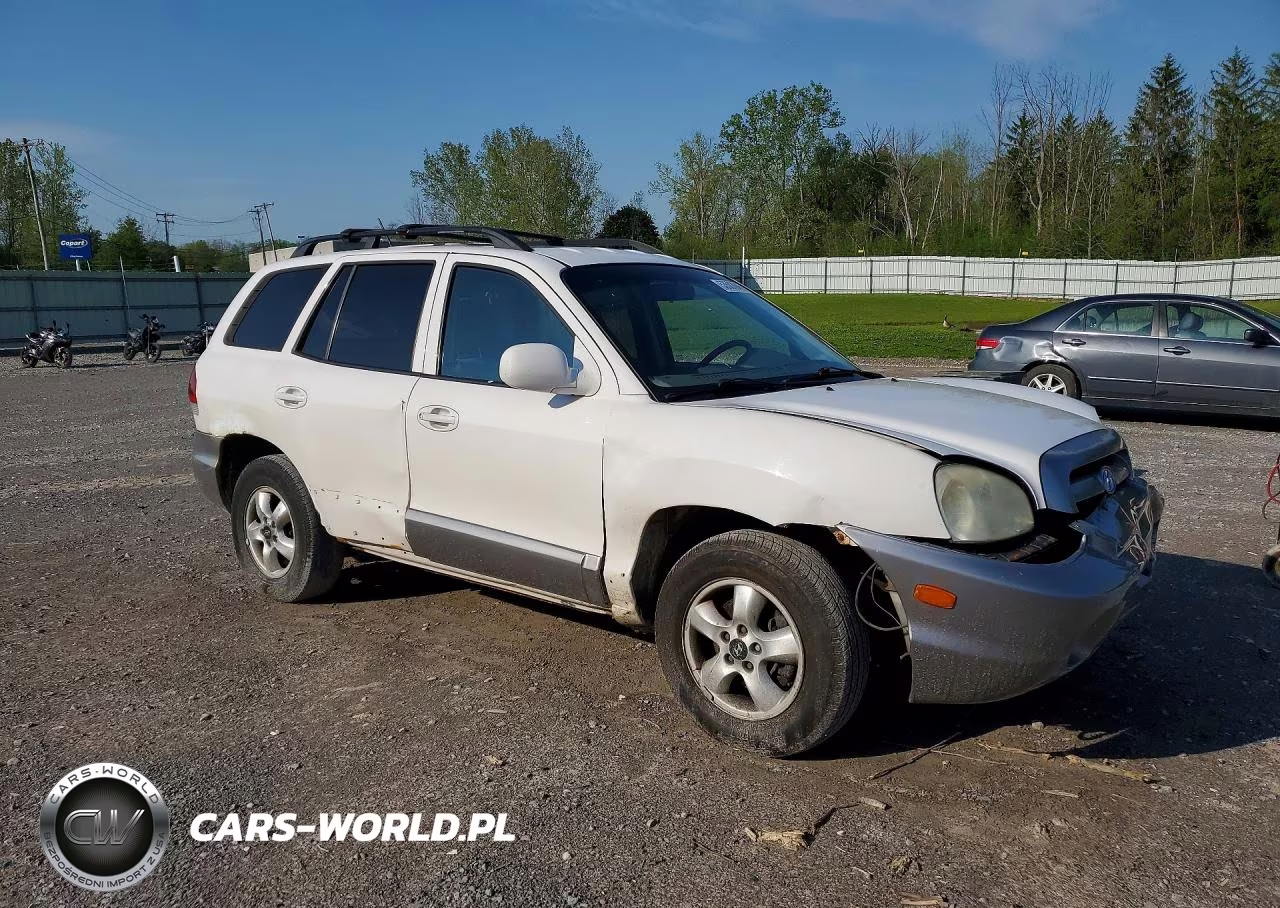 2005 Hyundai Santa Fe Gls VIN:KM8SC13D15U953221 - 4