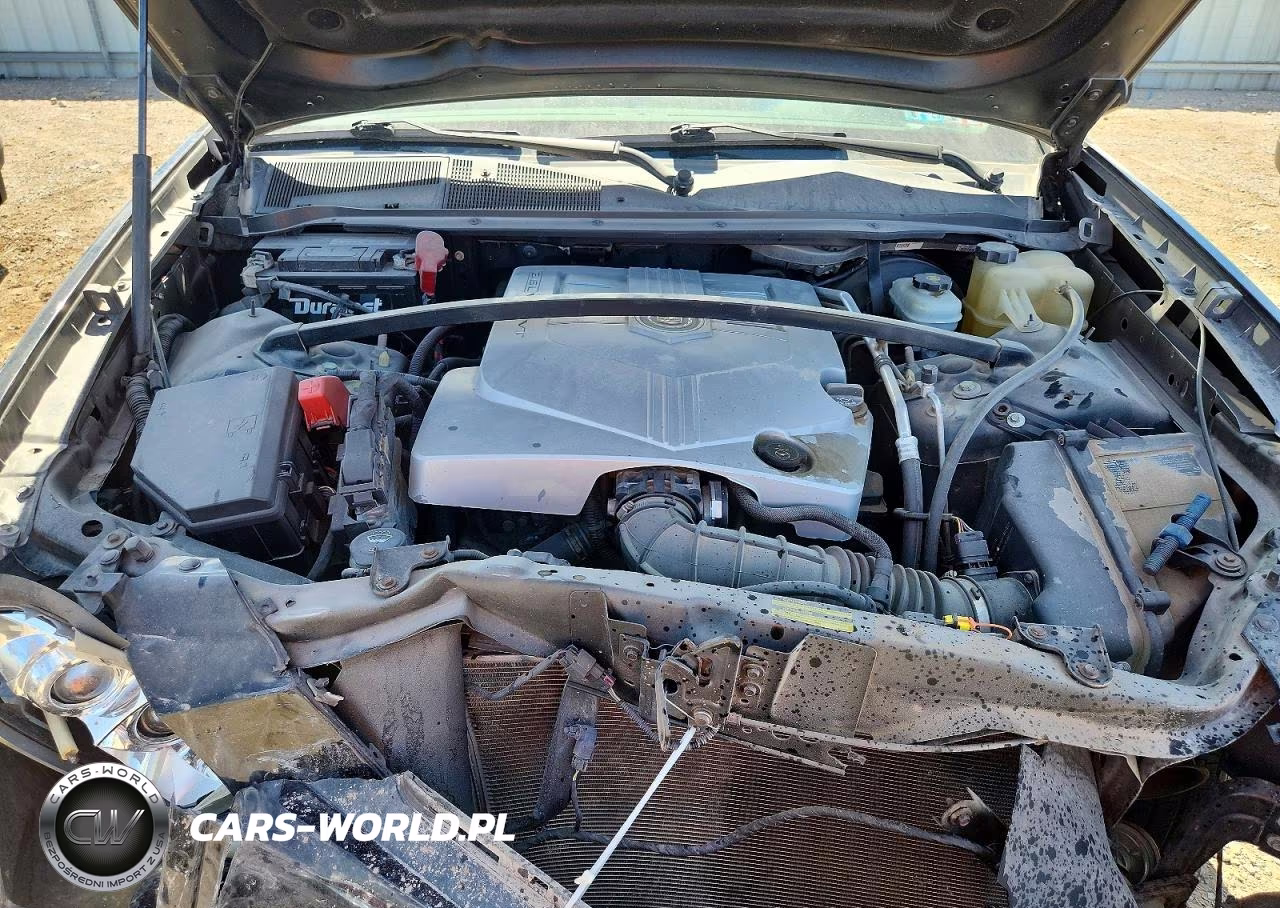 2009 Cadillac Srx VIN:1GYEE437090103336 - 12