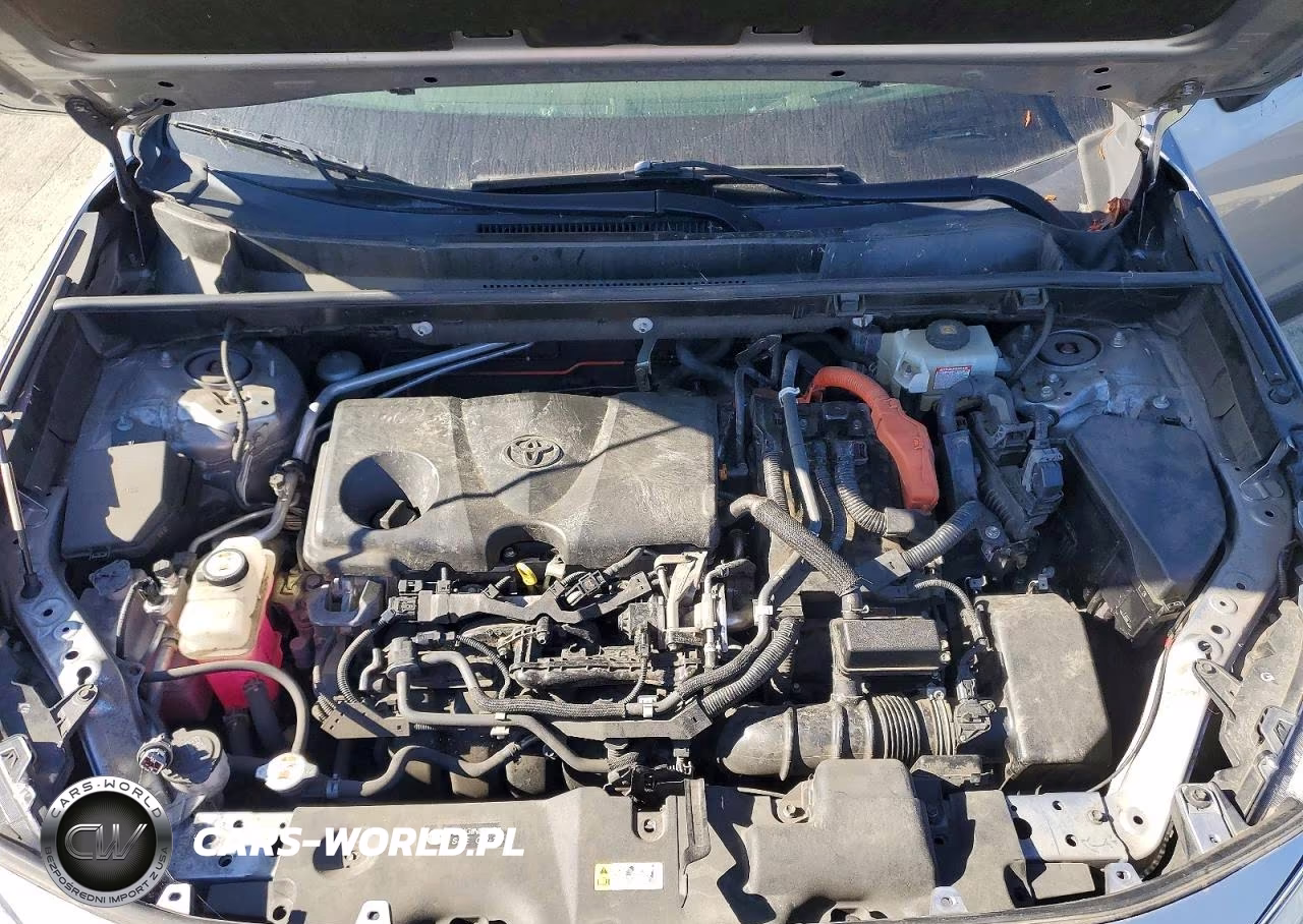 2019 Toyota Rav4 Xse VIN:JTMEWRFV8KJ024314 - 12