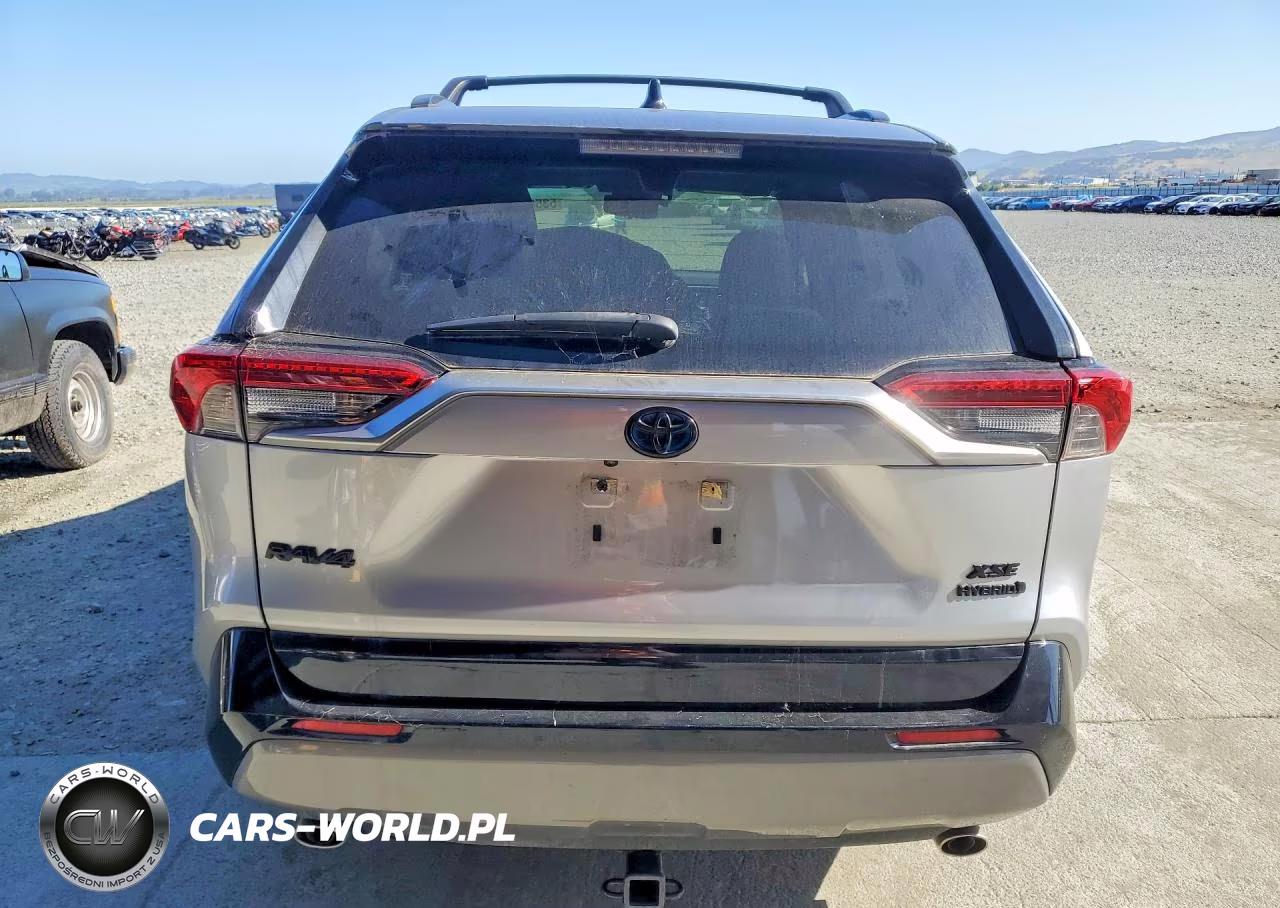 2019 Toyota Rav4 Xse VIN:JTMEWRFV8KJ024314 - 6