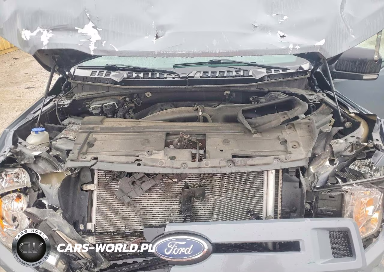 2019 Ford F150 VIN:1FTEW1E48KFA11821 - 11