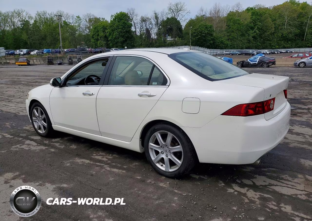 2005 Acura Tsx VIN:JH4CL96855C010520 - 2