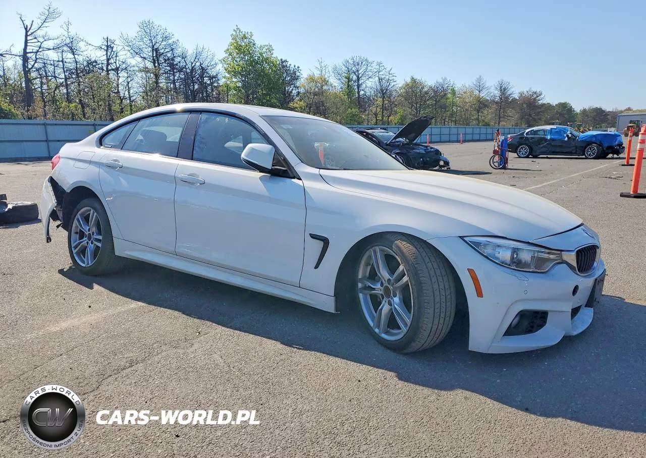2017 BMW 430Xi Gran Coupe VIN:WBA4F9C39HG812794 - 4
