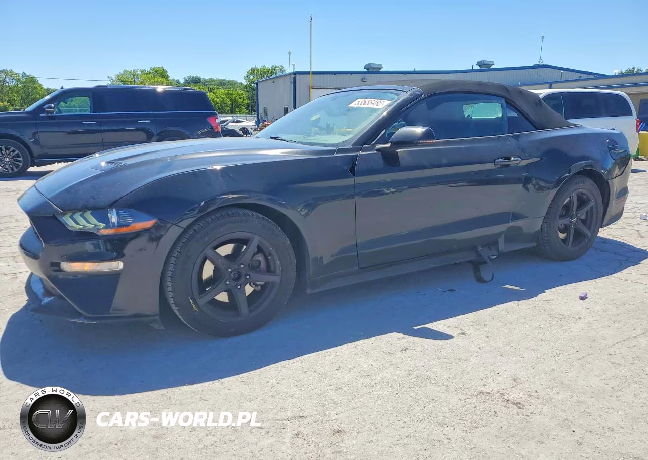 2019 Ford Mustang