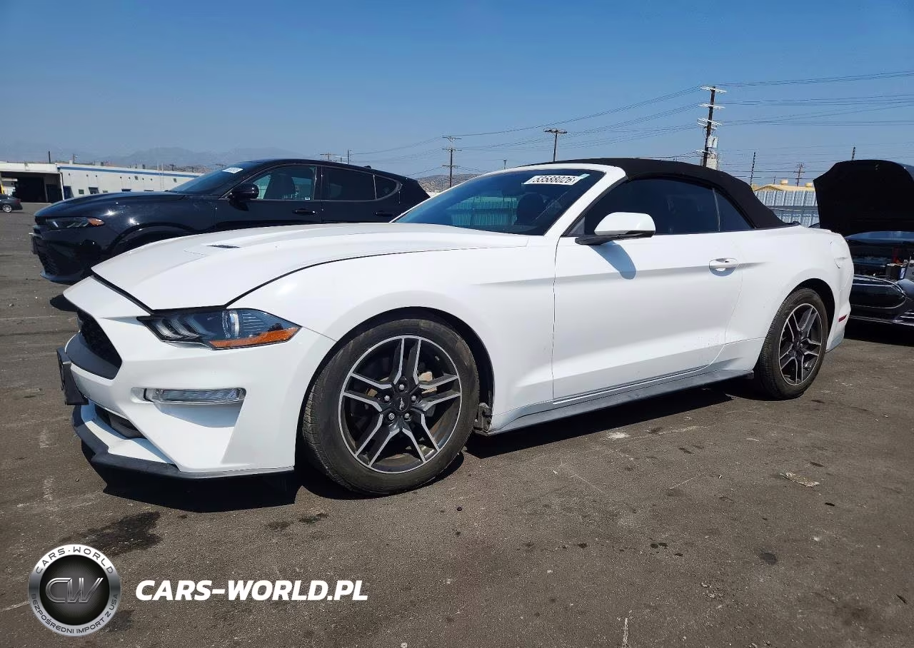 2019 Ford Mustang