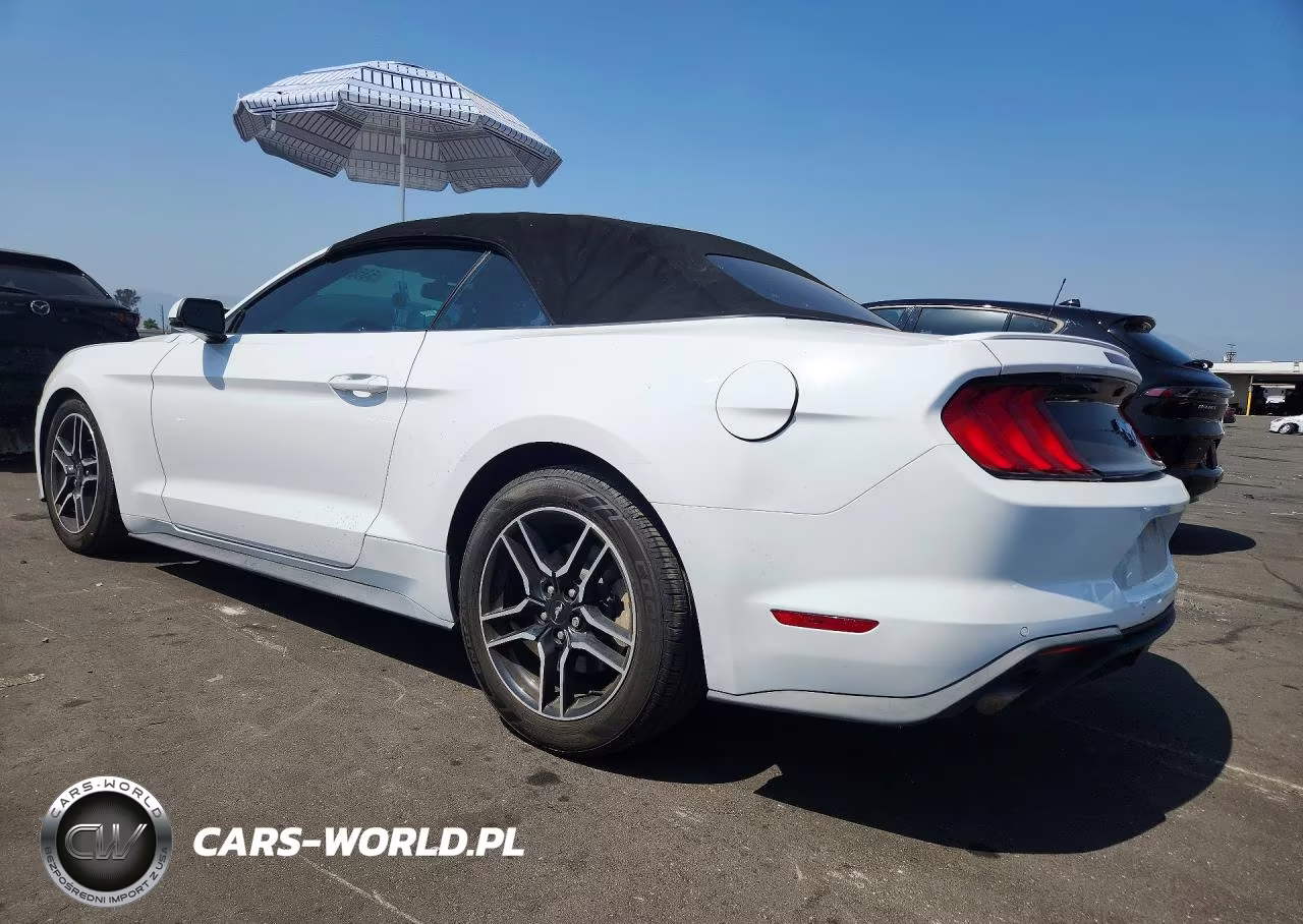 2019 Ford Mustang VIN:1FATP8UH7K5181617 - 2
