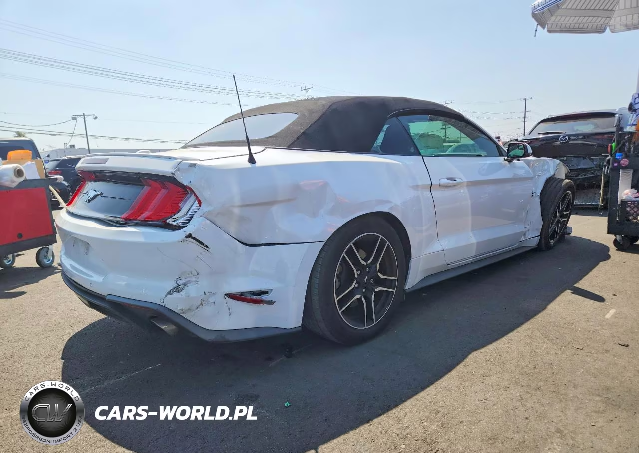 2019 Ford Mustang VIN:1FATP8UH7K5181617 - 3
