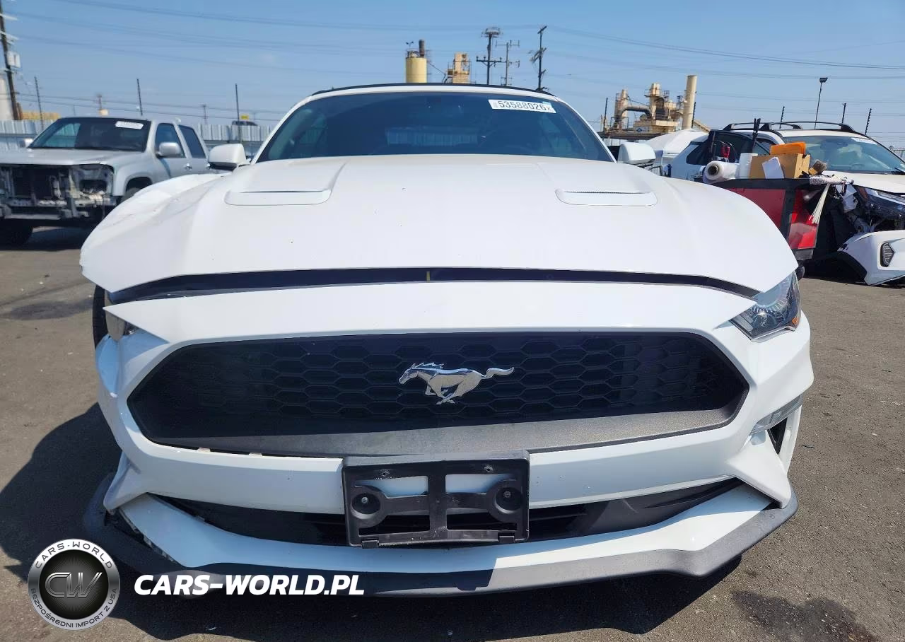 2019 Ford Mustang VIN:1FATP8UH7K5181617 - 5