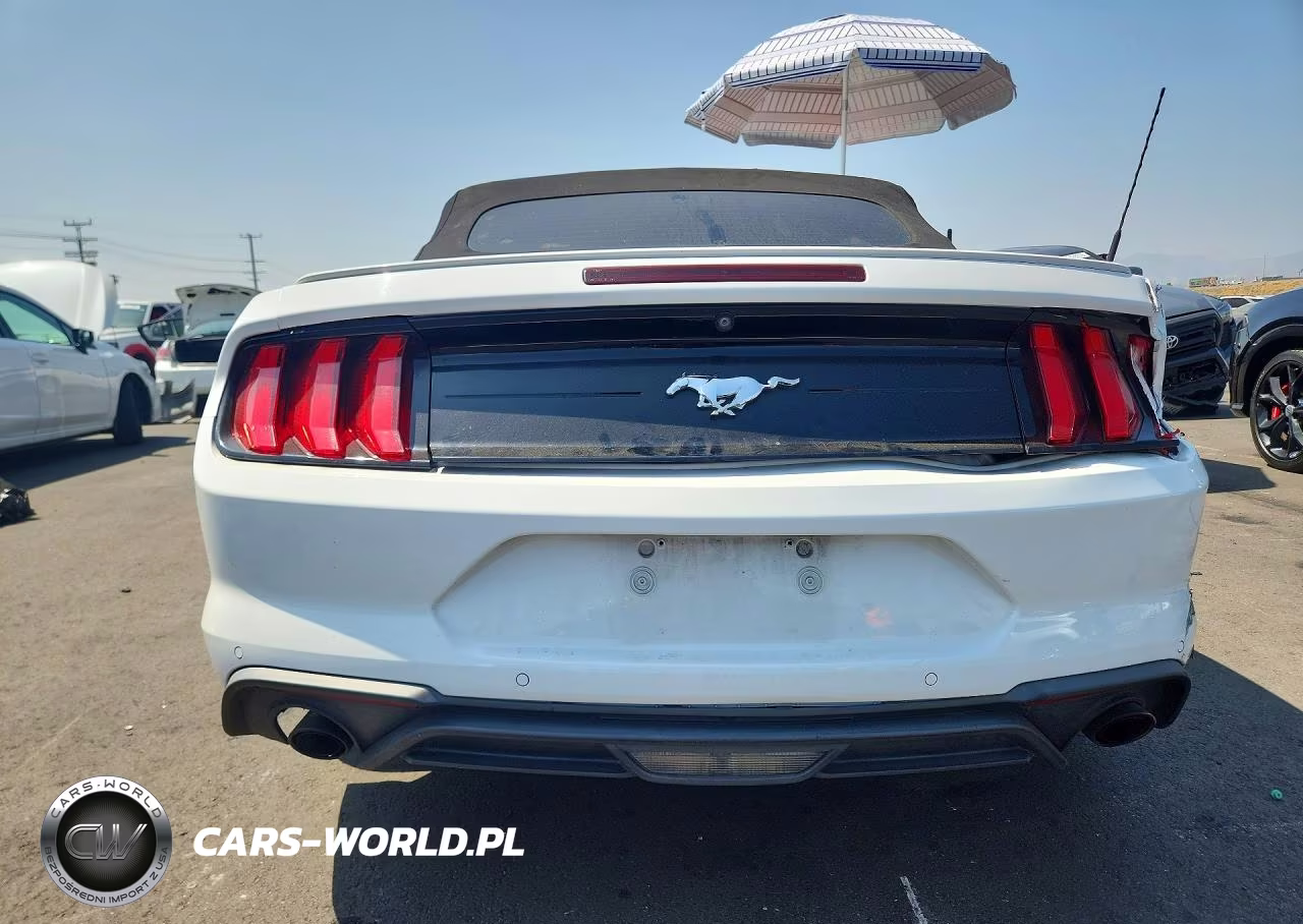 2019 Ford Mustang VIN:1FATP8UH7K5181617 - 6