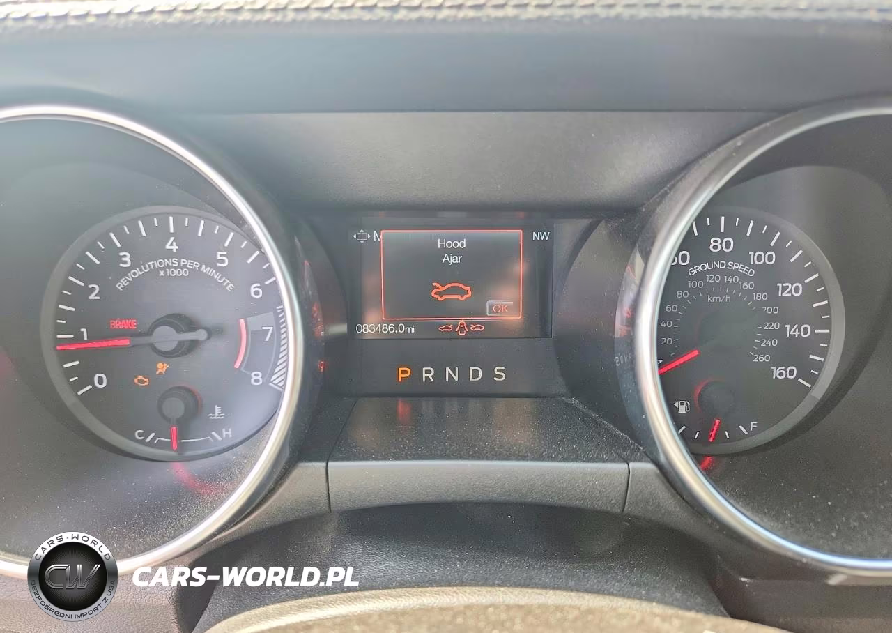 2019 Ford Mustang VIN:1FATP8UH7K5181617 - 9