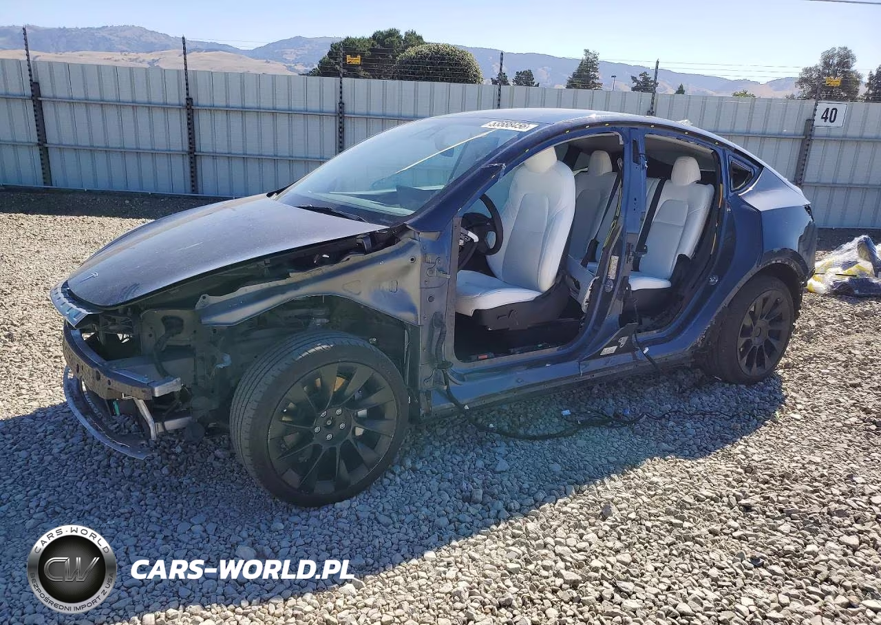 2021 Tesla Model Y – zdjęcie 1 z 14