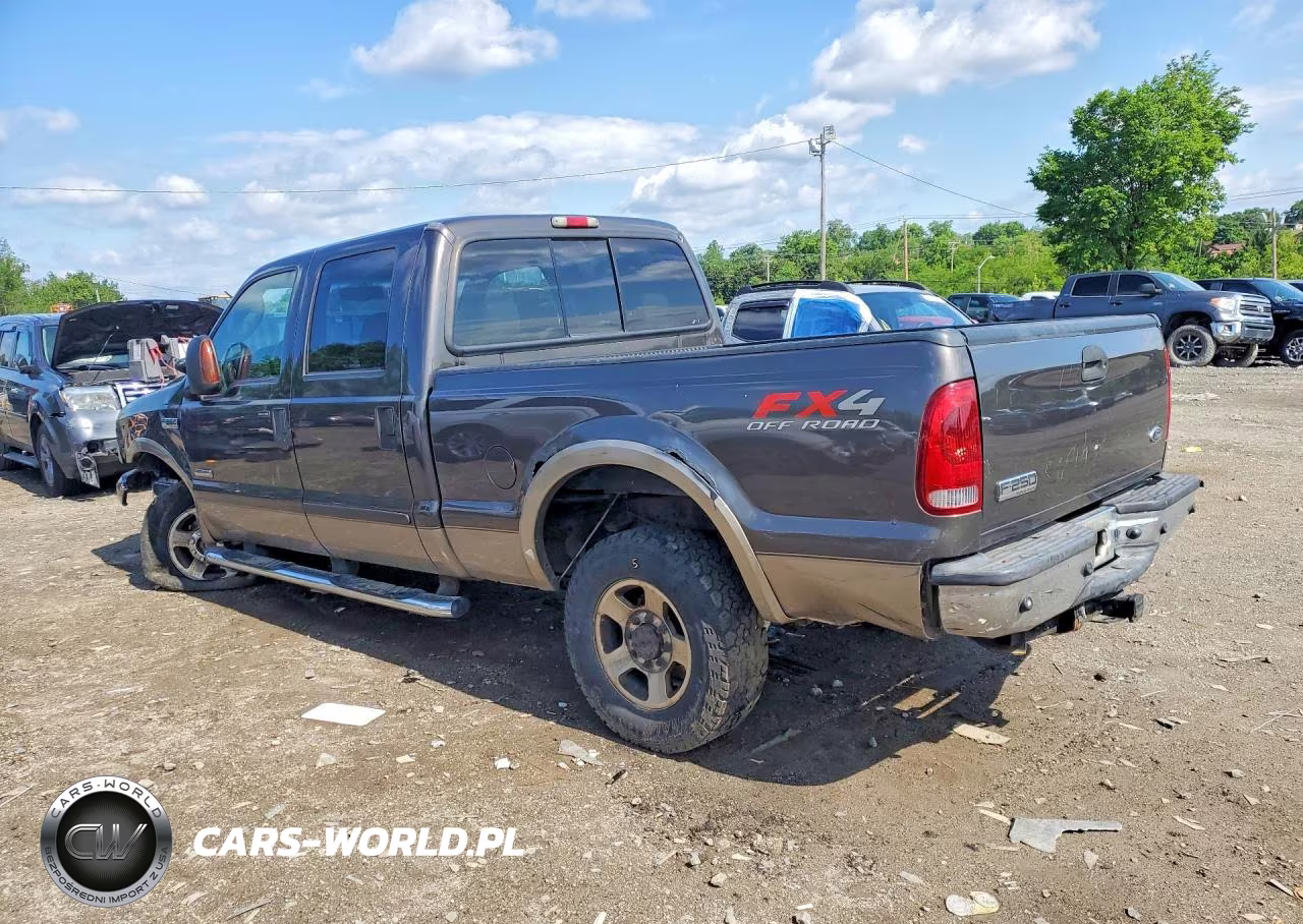 2006 Ford F250 Super Duty VIN:1FTSW21P26EB31537 - 2