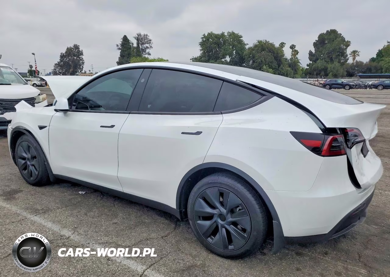 2024 Tesla Model Y VIN:7SAYGDED4RF204478 - 2