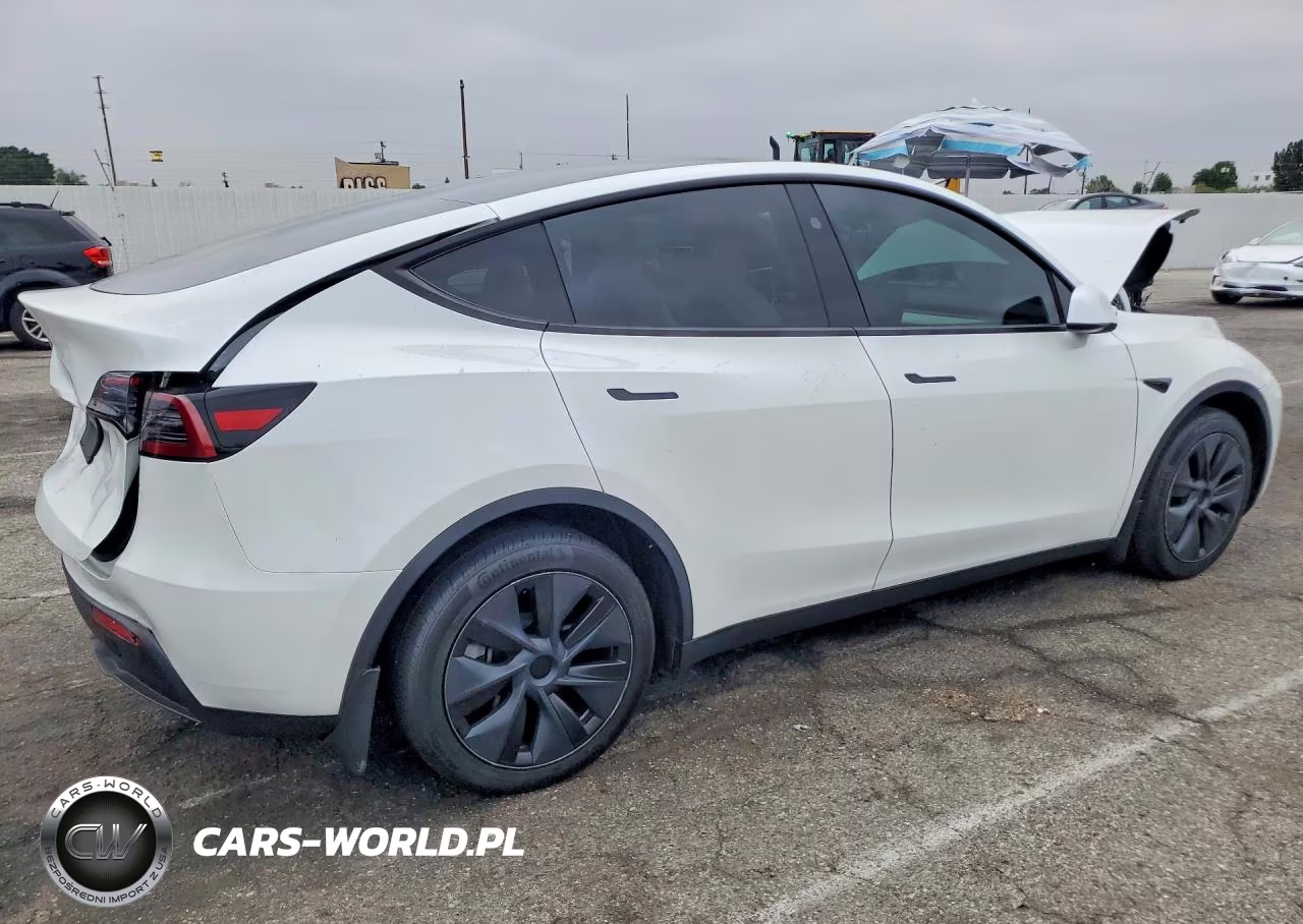 2024 Tesla Model Y VIN:7SAYGDED4RF204478 - 3