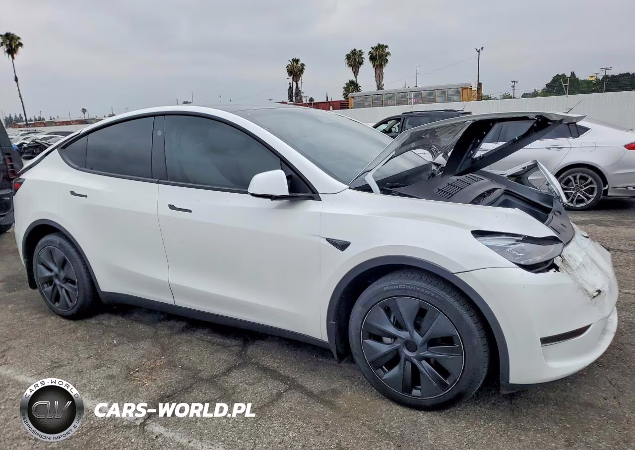 2024 Tesla Model Y VIN:7SAYGDED4RF204478 - 4