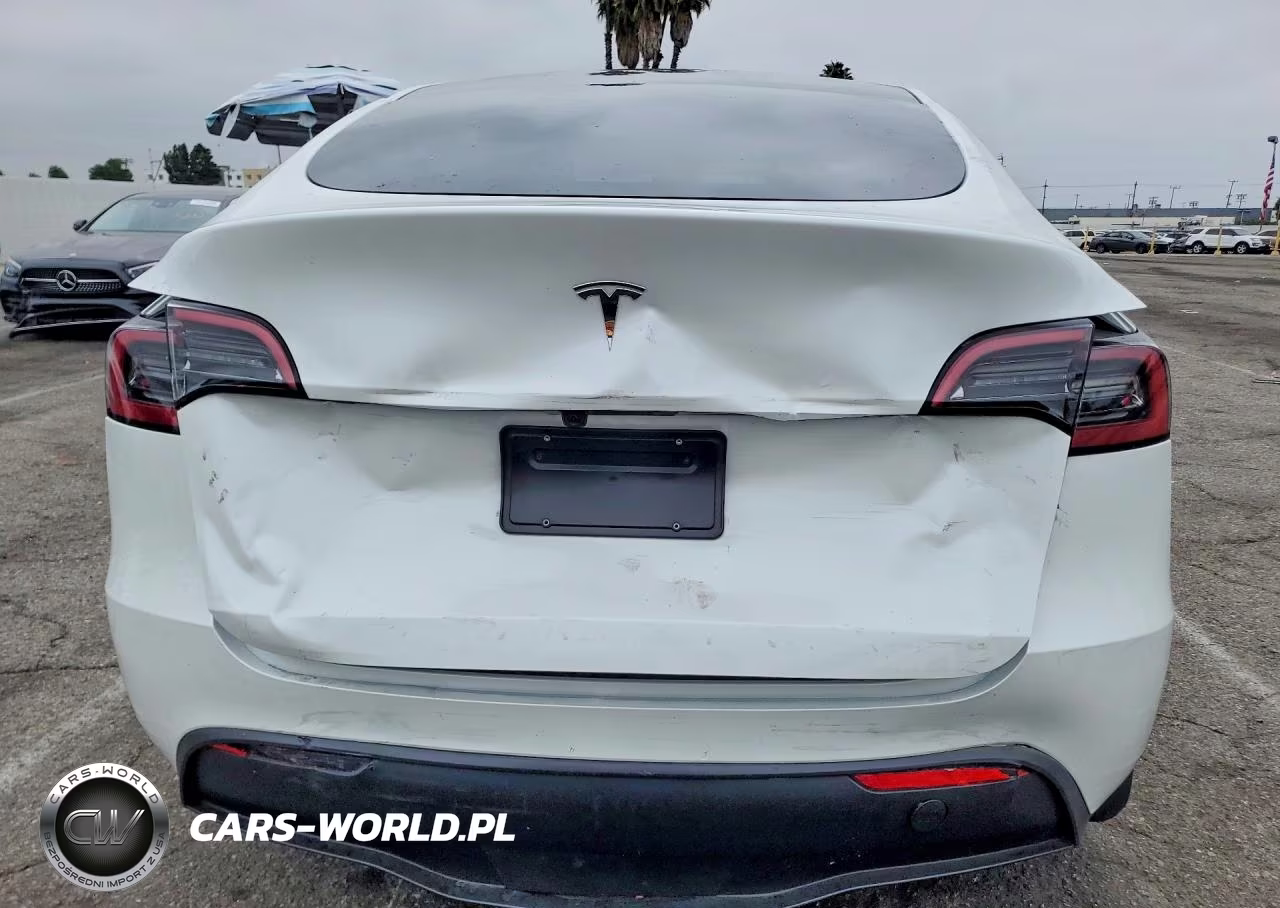 2024 Tesla Model Y VIN:7SAYGDED4RF204478 - 6