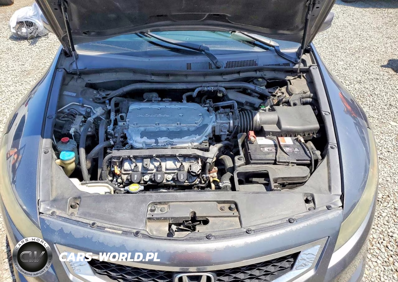 2010 Honda Accord Exl VIN:1HGCS2B88AA002131 - 11