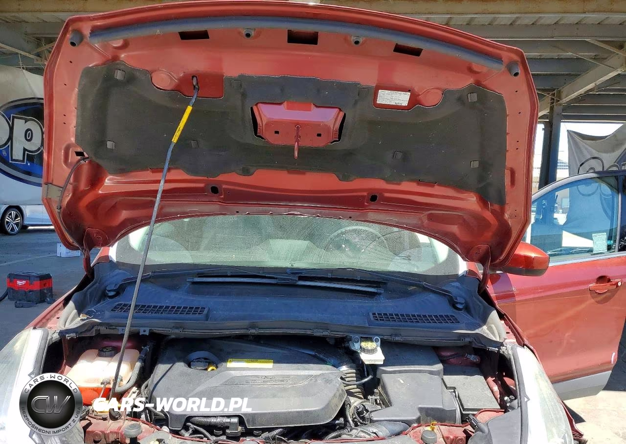 2014 Ford Escape Se VIN:1FMCU0GX6EUA93896 - 11