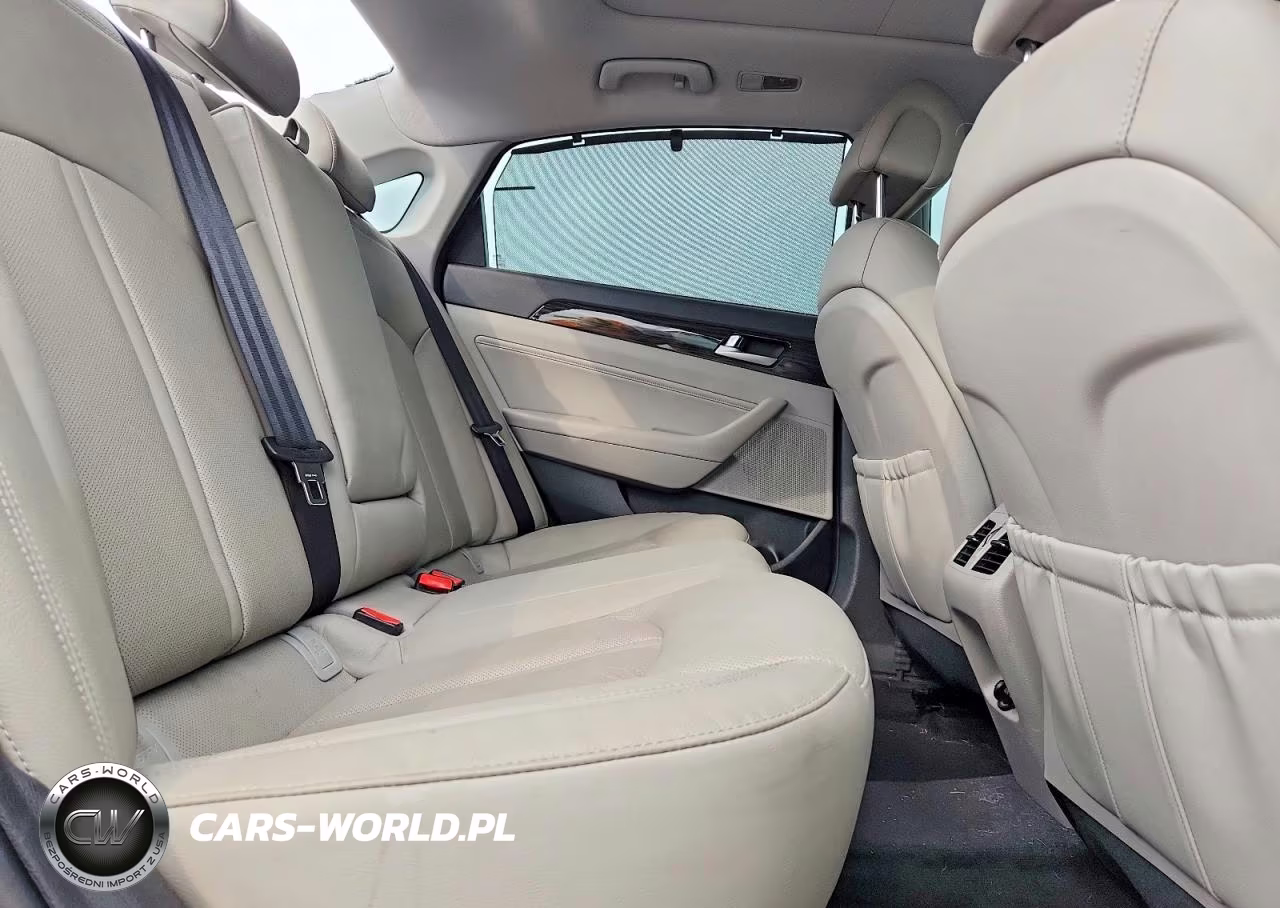 2017 Hyundai Sonata VIN:KMHE34L36HA075703 - 10
