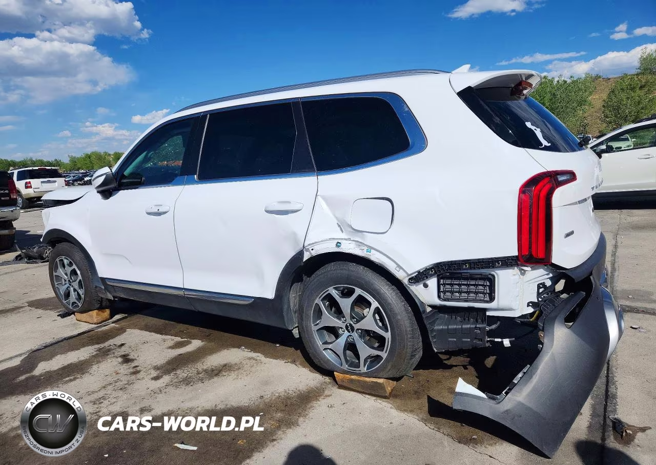 2022 Kia Telluride Ex VIN:5XYP3DHC2NG210824 - 2