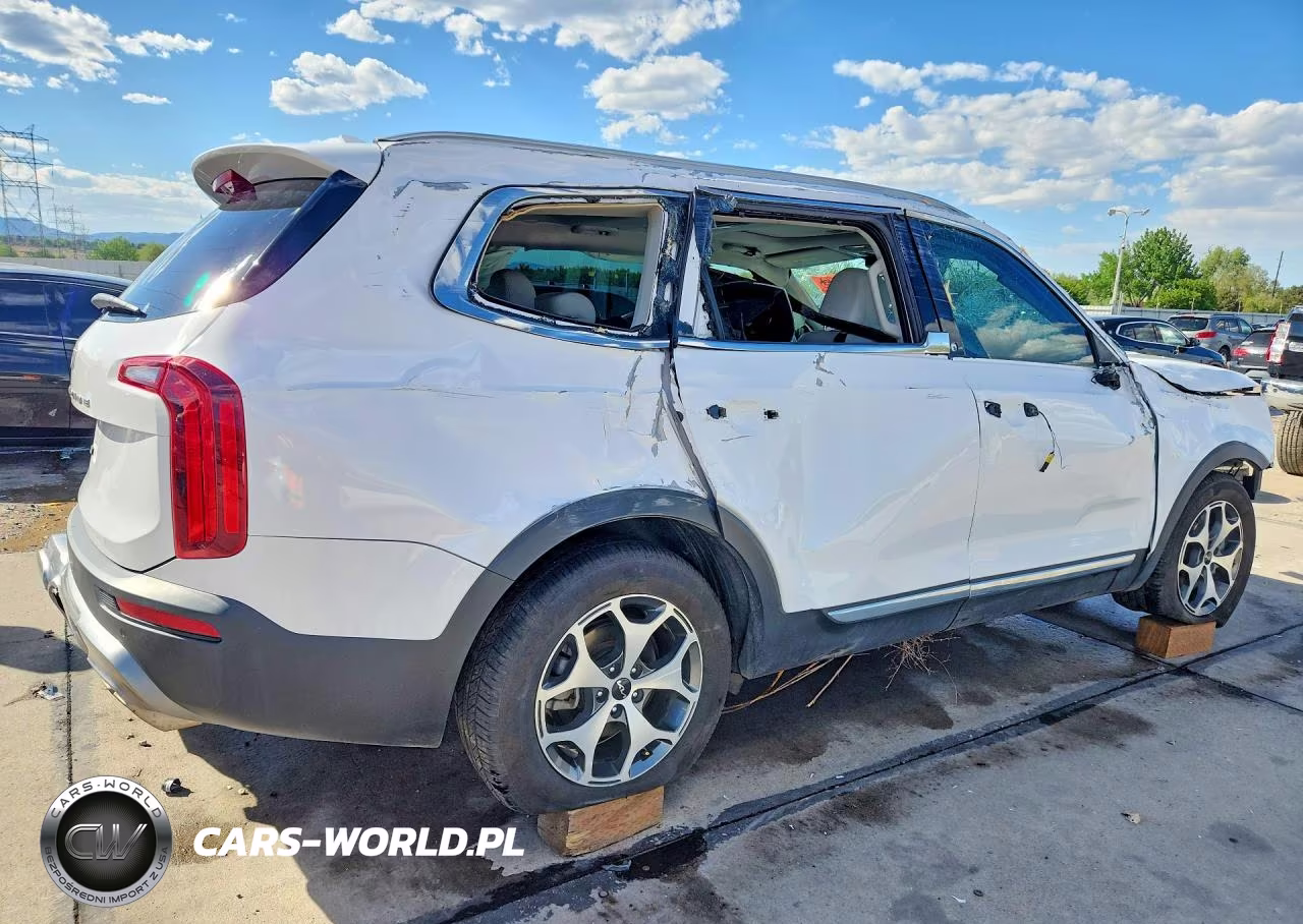 2022 Kia Telluride Ex VIN:5XYP3DHC2NG210824 - 3
