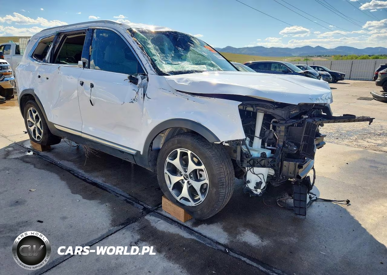2022 Kia Telluride Ex VIN:5XYP3DHC2NG210824 - 4