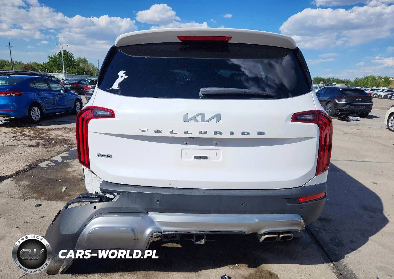 2022 Kia Telluride Ex VIN:5XYP3DHC2NG210824 - 6