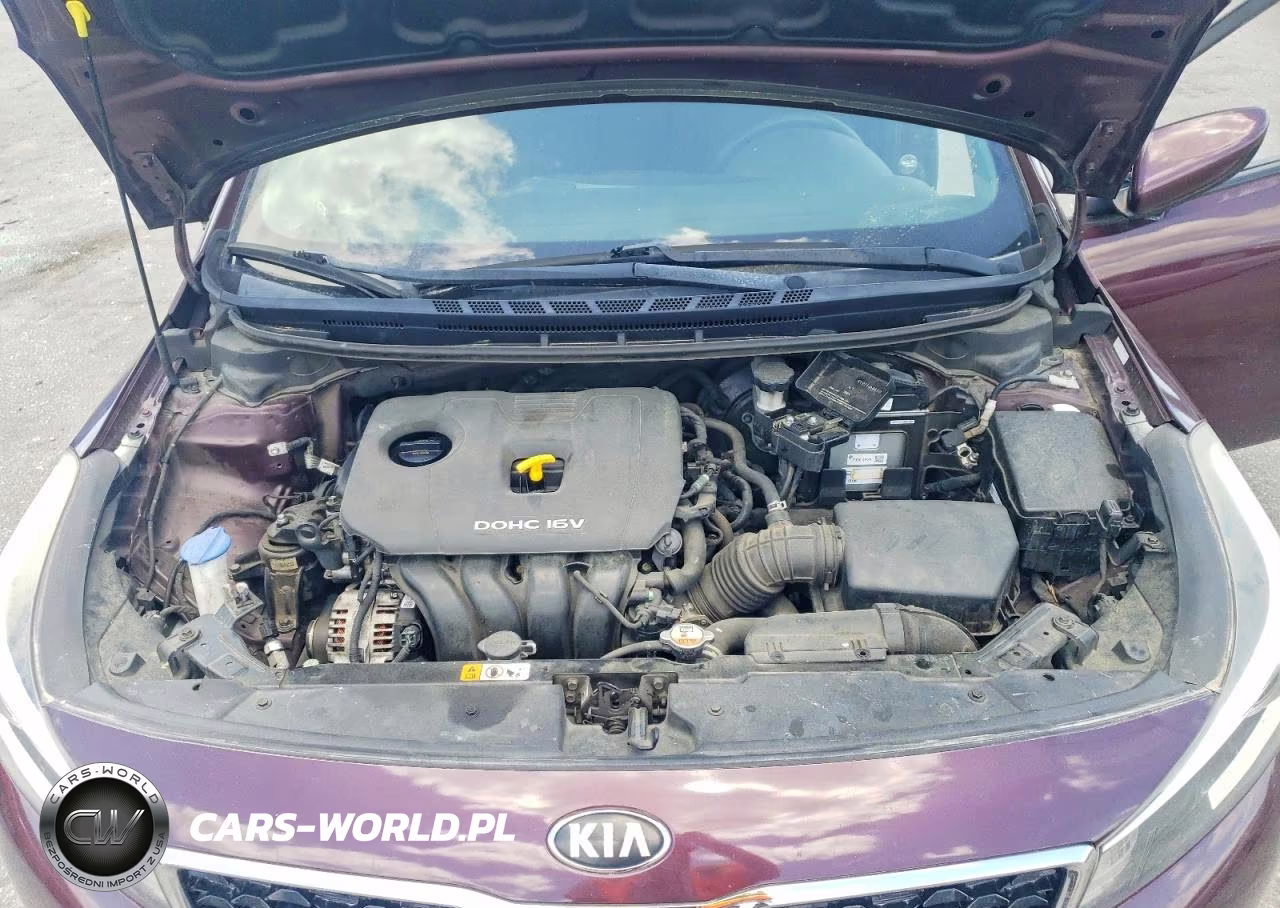 2018 Kia Forte Lx VIN:3KPFK4A70JE209948 - 11