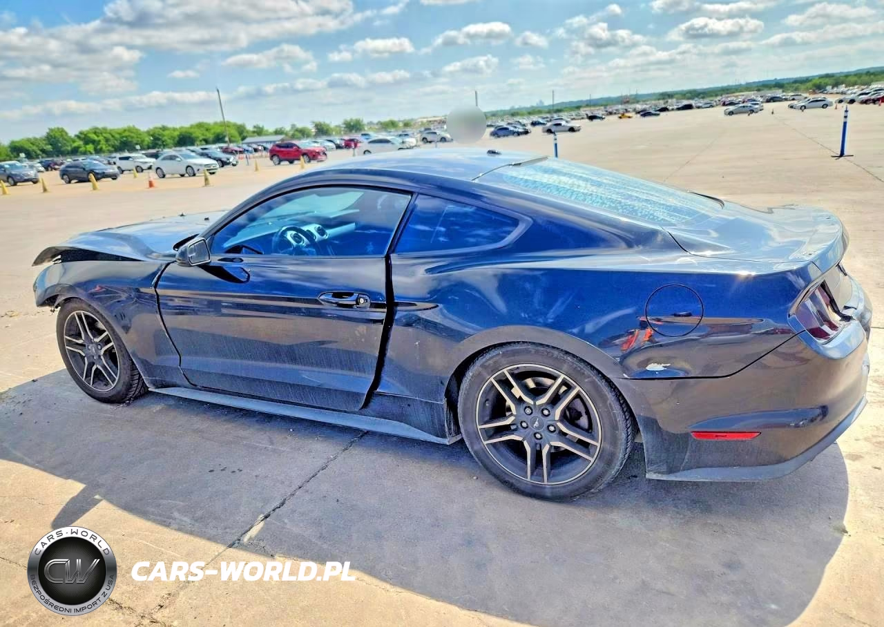 2019 Ford Mustang VIN:1FA6P8TH4K5111913 - 2