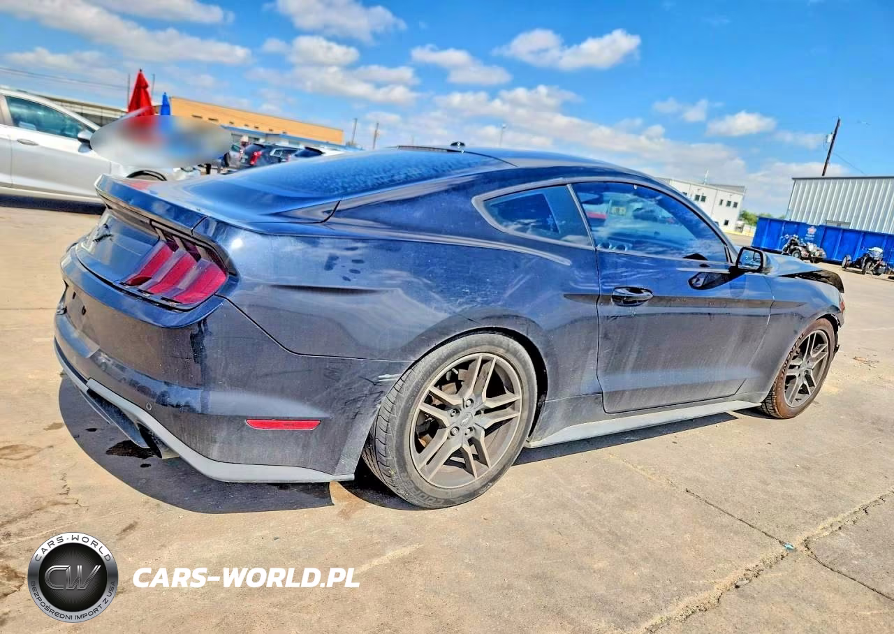 2019 Ford Mustang VIN:1FA6P8TH4K5111913 - 3
