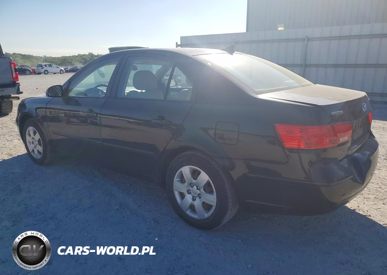 2010 Hyundai Sonata Gls VIN:5NPET4AC2AH620866 - 2