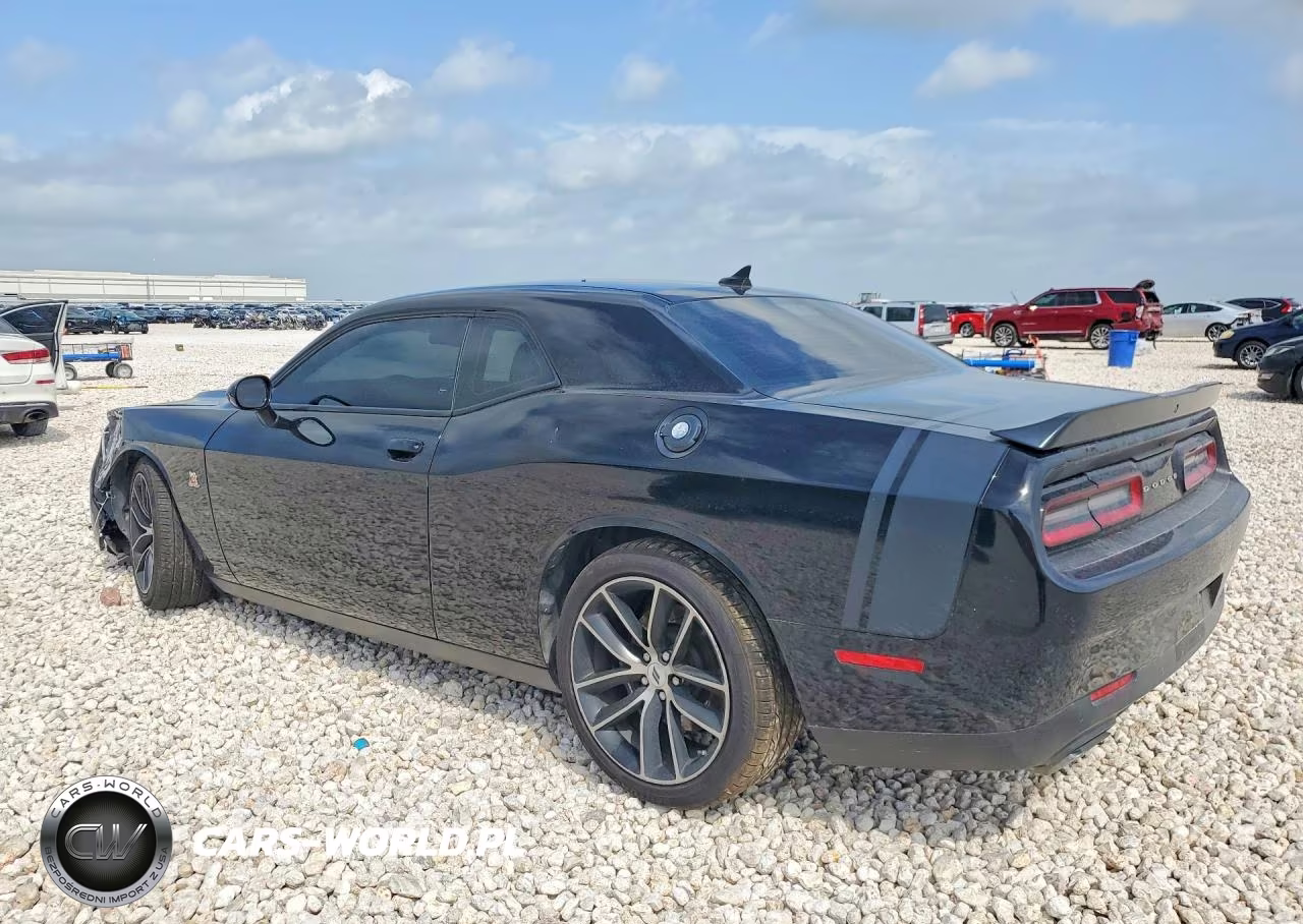 2018 Dodge Challenger R VIN:2C3CDZFJ1JH131252 - 2