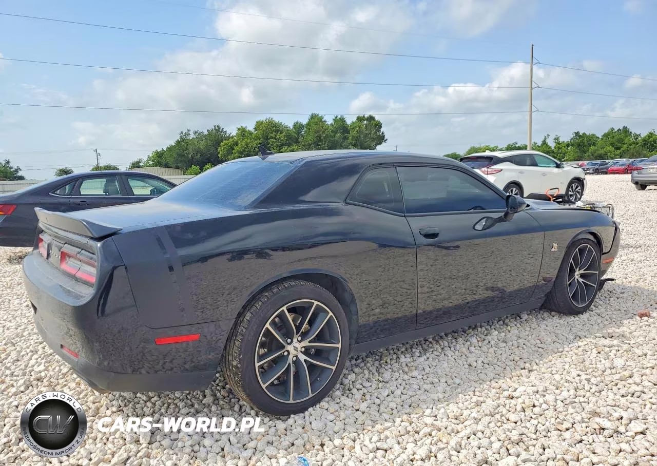 2018 Dodge Challenger R VIN:2C3CDZFJ1JH131252 - 3
