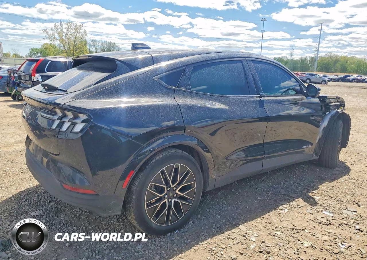 2025 Ford Mustang Mach-E Premium VIN:3FMTK3SU4SMA05075 - 3