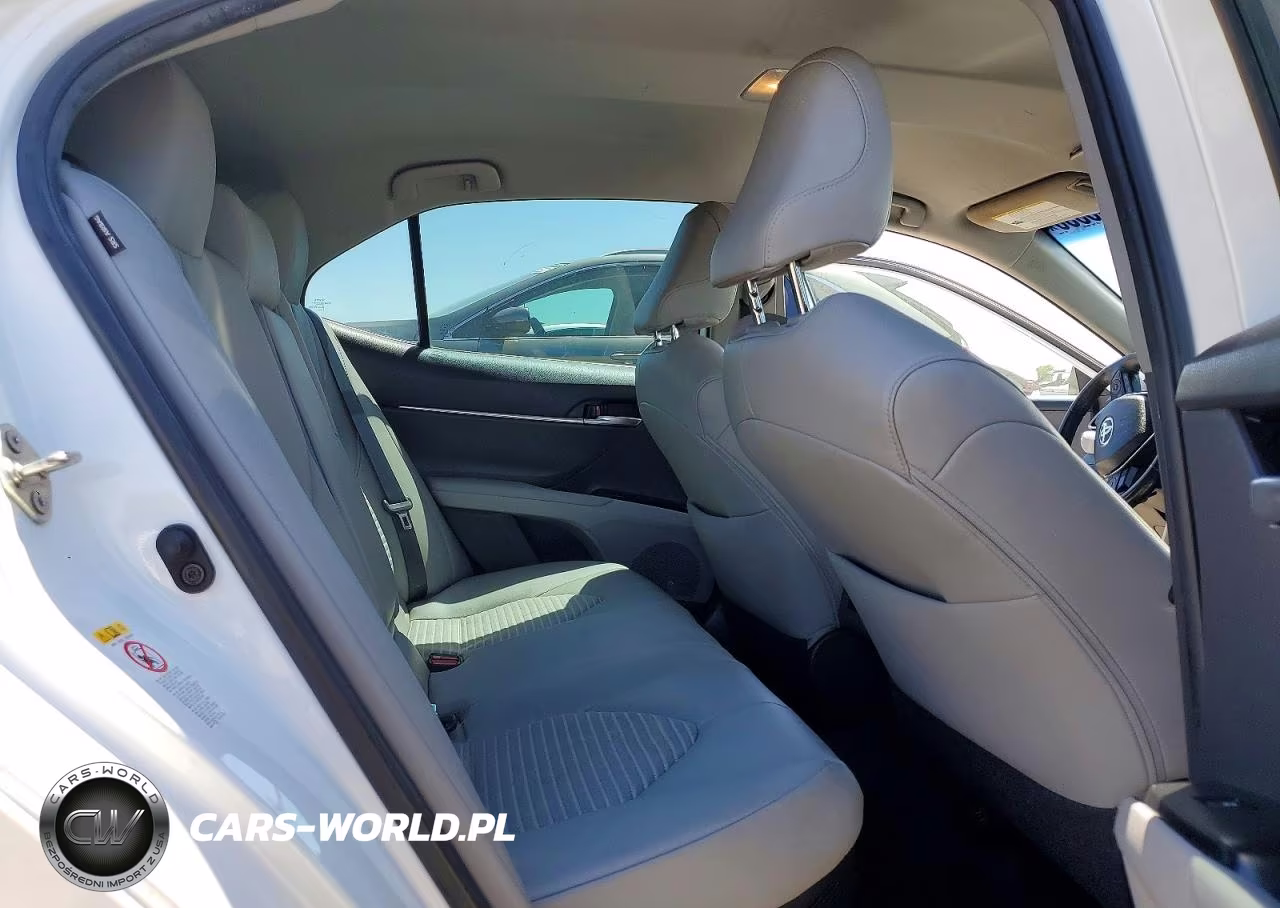 2019 Toyota Camry Hybrid Se VIN:4T1B21HK3KU514933 - 10