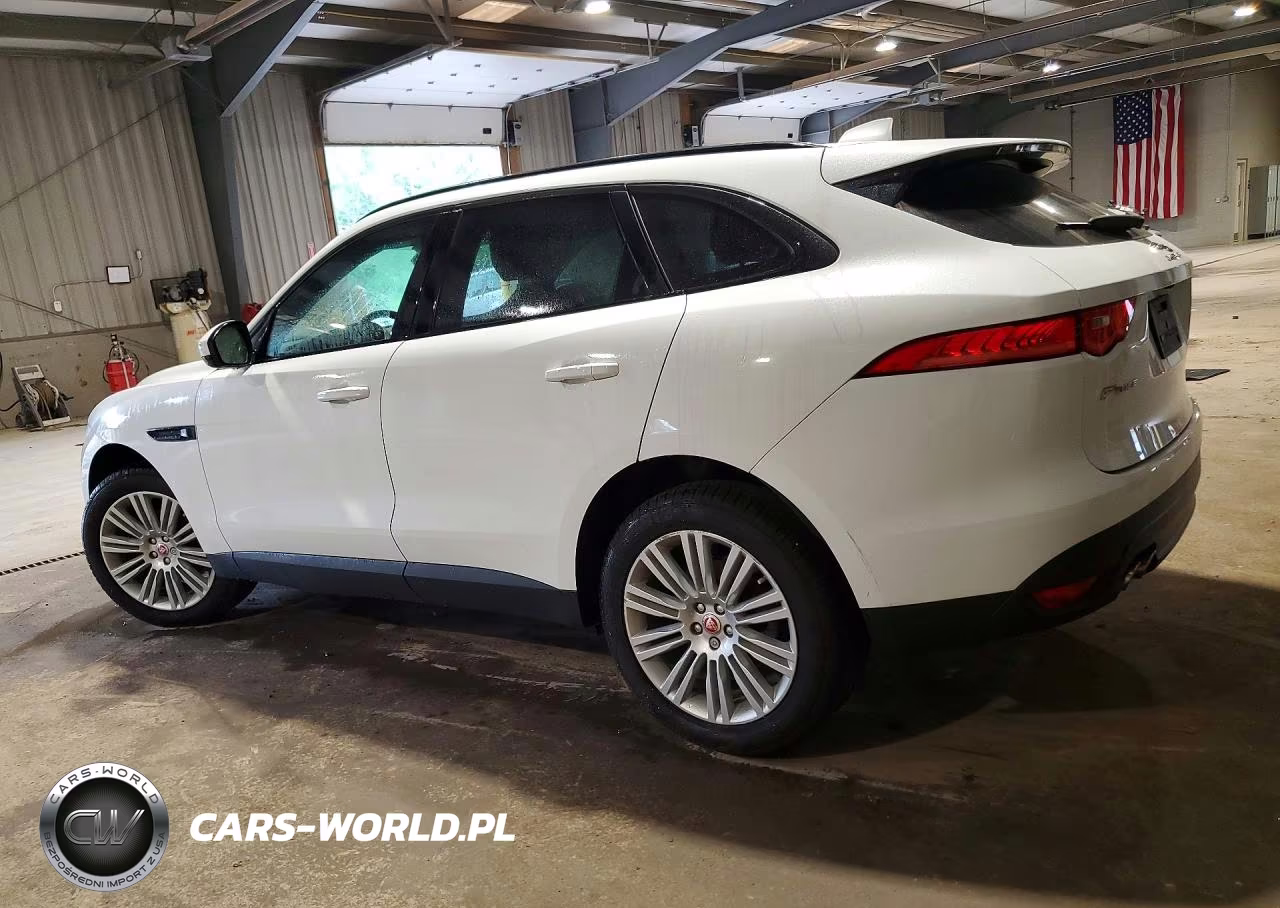 2019 Jaguar F-Pace Premium VIN:SADCJ2FN8KA356528 - 2