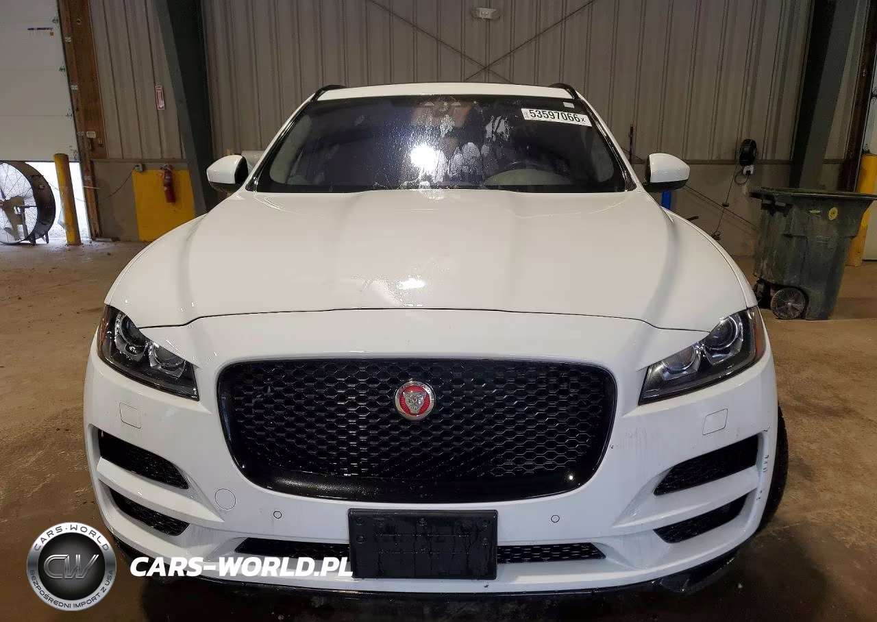 2019 Jaguar F-Pace Premium VIN:SADCJ2FN8KA356528 - 5