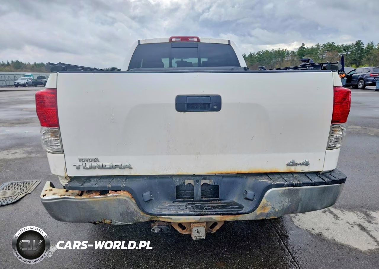 2010 Toyota Tundra Double Cab Sr5 VIN:5TFUY5F1XAX097501 - 6